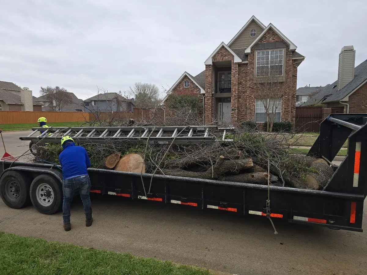 Expert Tree Pest Control with proper safety equipment in Walshville